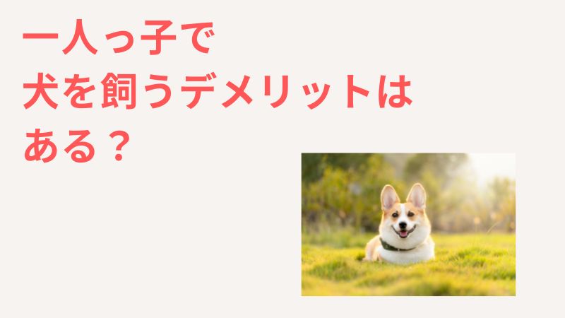 一人っ子が犬を飼うデメリットとは？基本的にメリットが多い理由